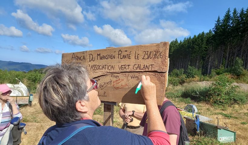 Vert Galant sorties